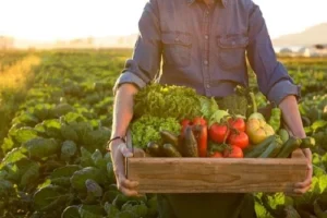 agroindústria no Paraná